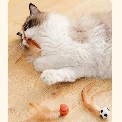 1/3Pcs New Cat Interactive Ball Toys Bouncy Balls with Feathers Indoor Cat Game Toy Feather Cat Training Catcher Pet Toy - Image 4