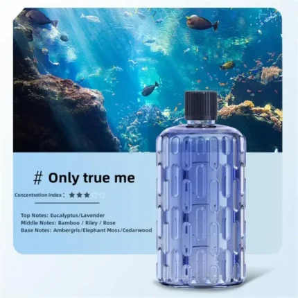 Aroma Diffuser Humidifier Fragrance Essential Oil Aromatherapy Machine Air Freshener Hotel Bedroom Toilet Bathroom Deodorization - Image 9